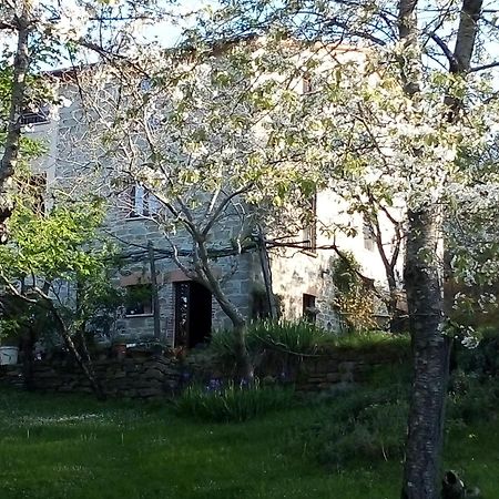 La Fonte B&B Pietralunga  Eksteriør bilde